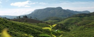 Viaggio Privato in Kerala