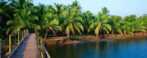 Gran Tour del Kerala