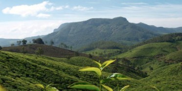 Viaggio Privato in Kerala